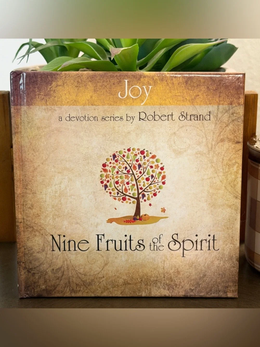 Set of 9 New Fruits Of The Spirit Books